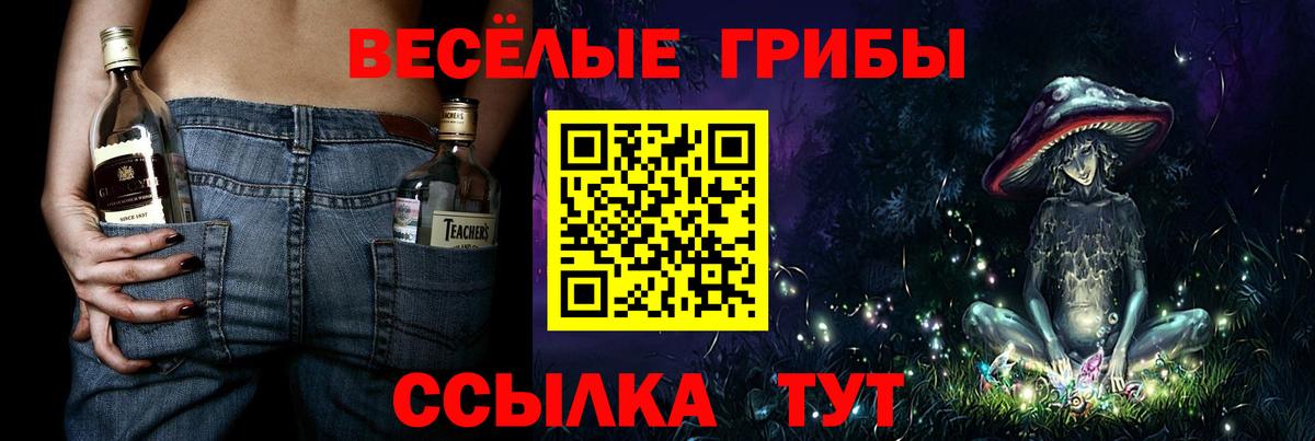 Вязьма  Псилоцибиновые грибы мицелий  Вход с VPN 